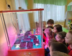 Юные исследователи